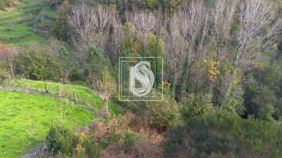 Terreno para Venda em Ansiães Foto 9