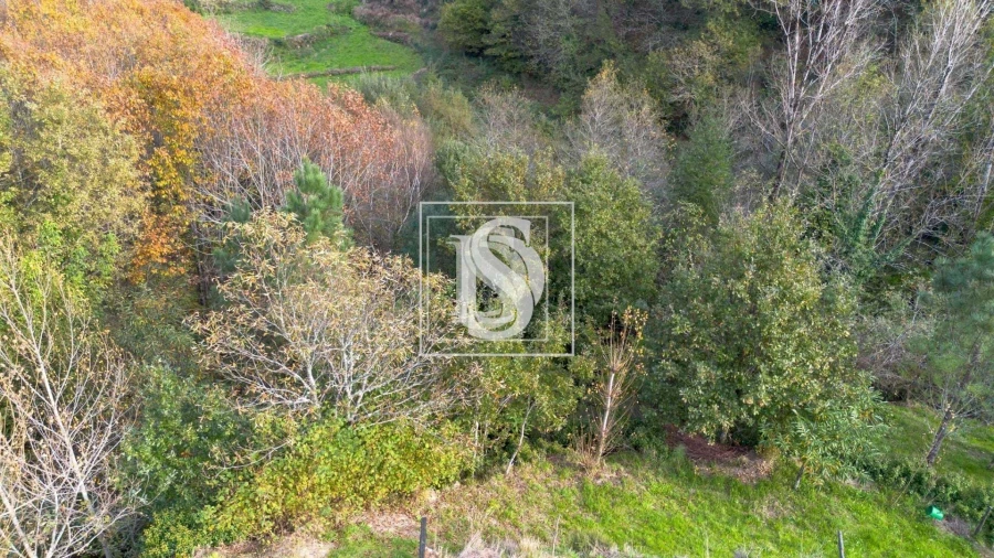Terreno para Venda em Ansiães Foto 8