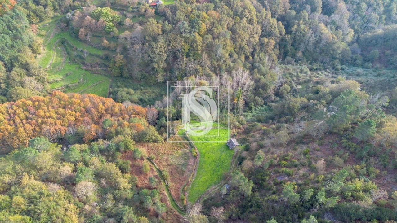 Terreno para Venda em Ansiães Foto 5