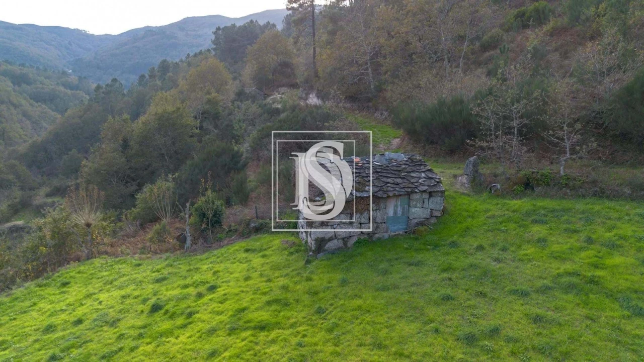 Terreno para Venda em Ansiães Foto 3