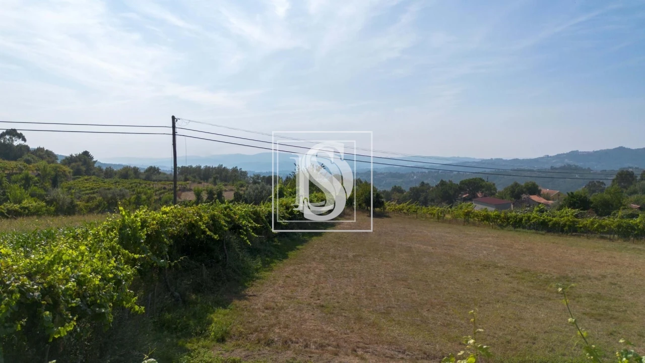 Terreno para Venda em Gouveia (São Simão) Foto 24