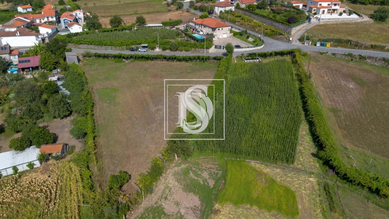 Terreno para Venda em Gouveia (São Simão) Foto 16