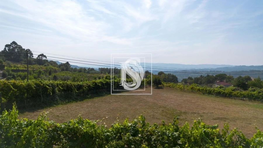 Terreno para Venda em Gouveia (São Simão) Foto 22