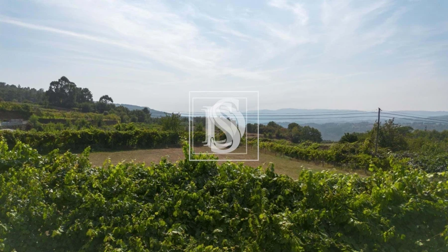 Terreno para Venda em Gouveia (São Simão) Foto 4