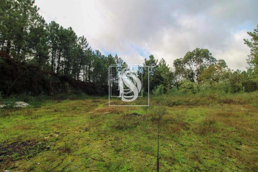 Terreno para Venda em Lufrei Foto 22