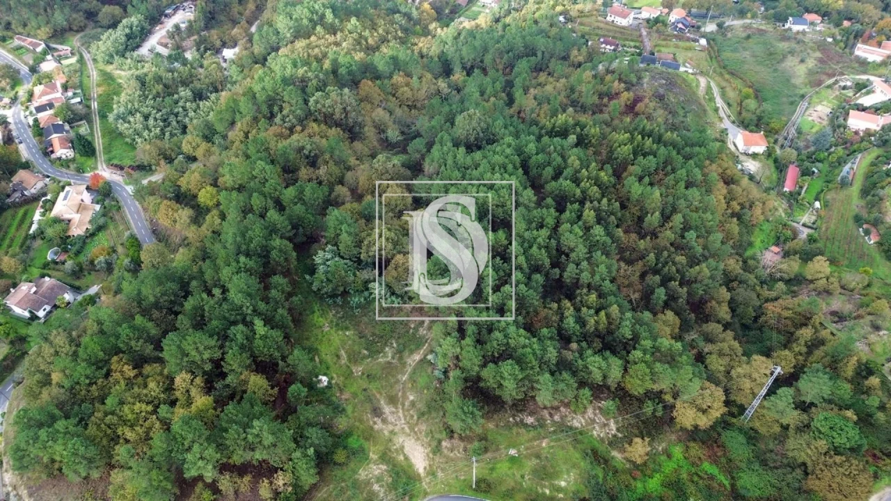 Terreno para Venda em Lufrei Foto 2