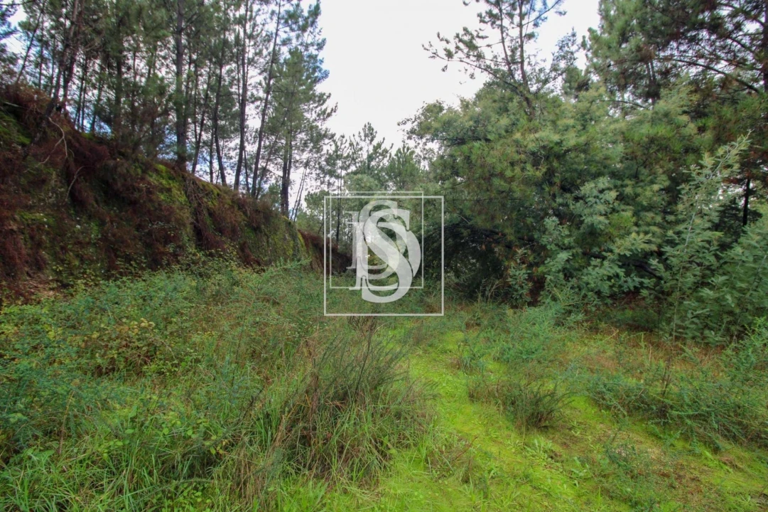 Terreno para Venda em Lufrei Foto 26