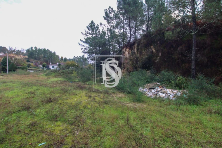 Terreno para Venda em Lufrei Foto 28