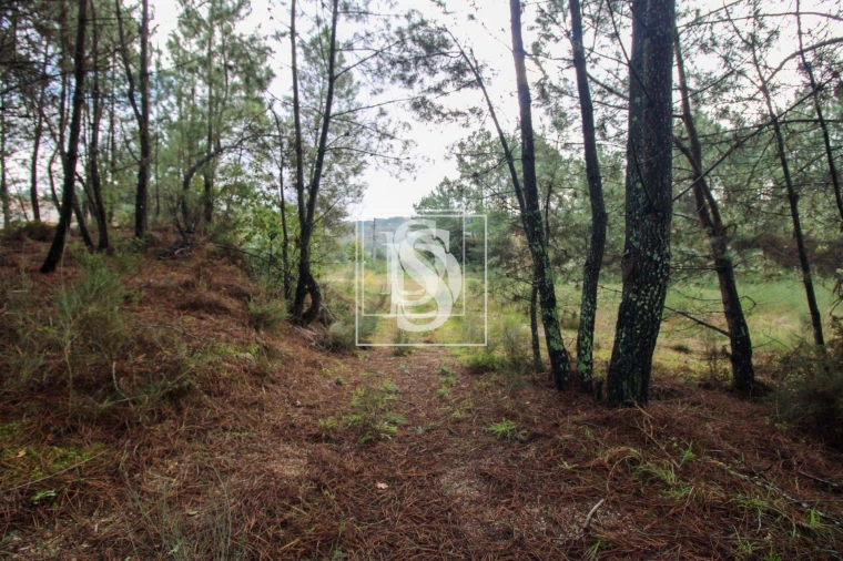 Terreno para Venda em Lufrei Foto 25