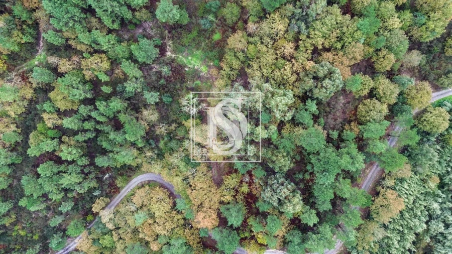 Terreno para Venda em Lufrei Foto 13