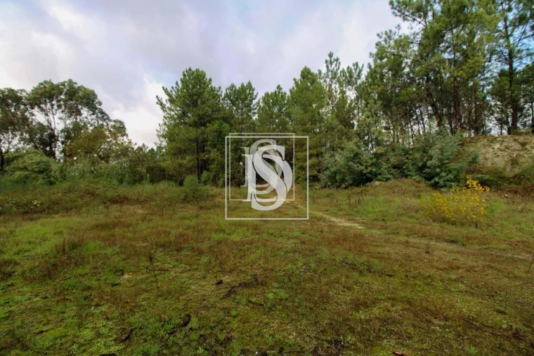 Terreno para Venda em Lufrei Foto 21