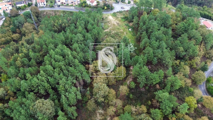 Terreno para Venda em Lufrei Foto 10