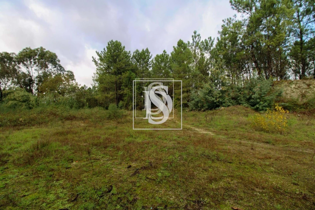 Terreno para Venda em Lufrei Foto 21