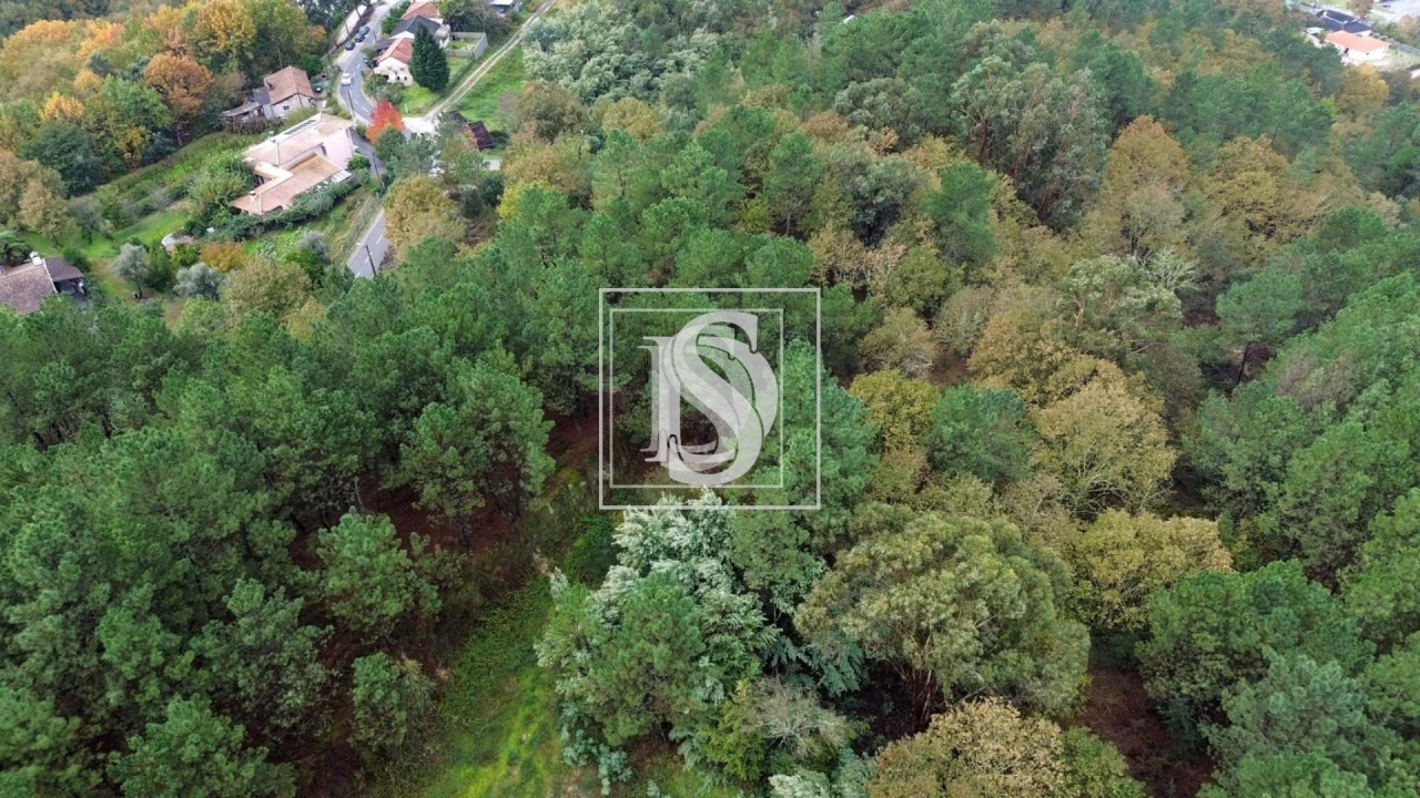 Terreno para Venda em Lufrei Foto 7