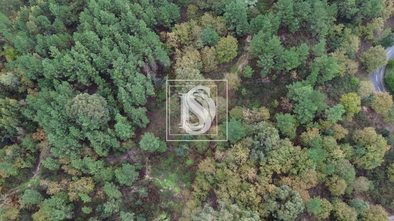 Terreno para Venda em Lufrei Foto 14