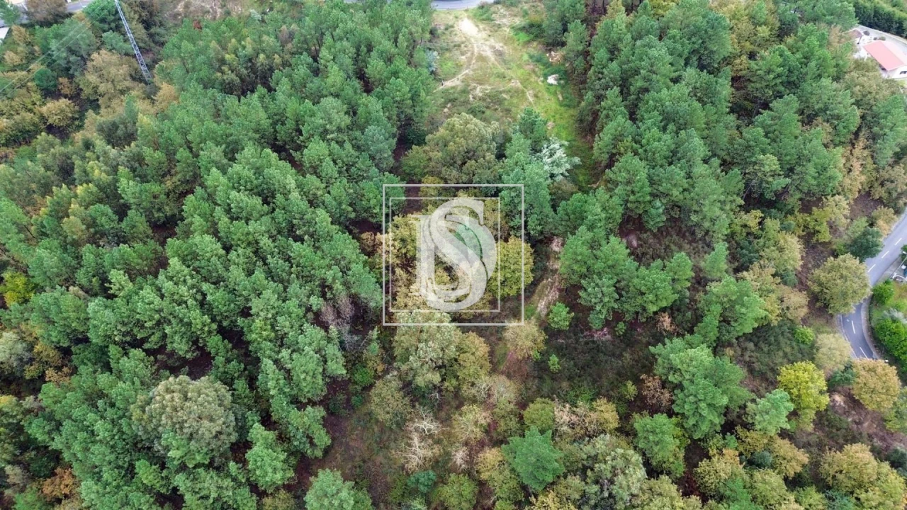 Terreno para Venda em Lufrei Foto 12