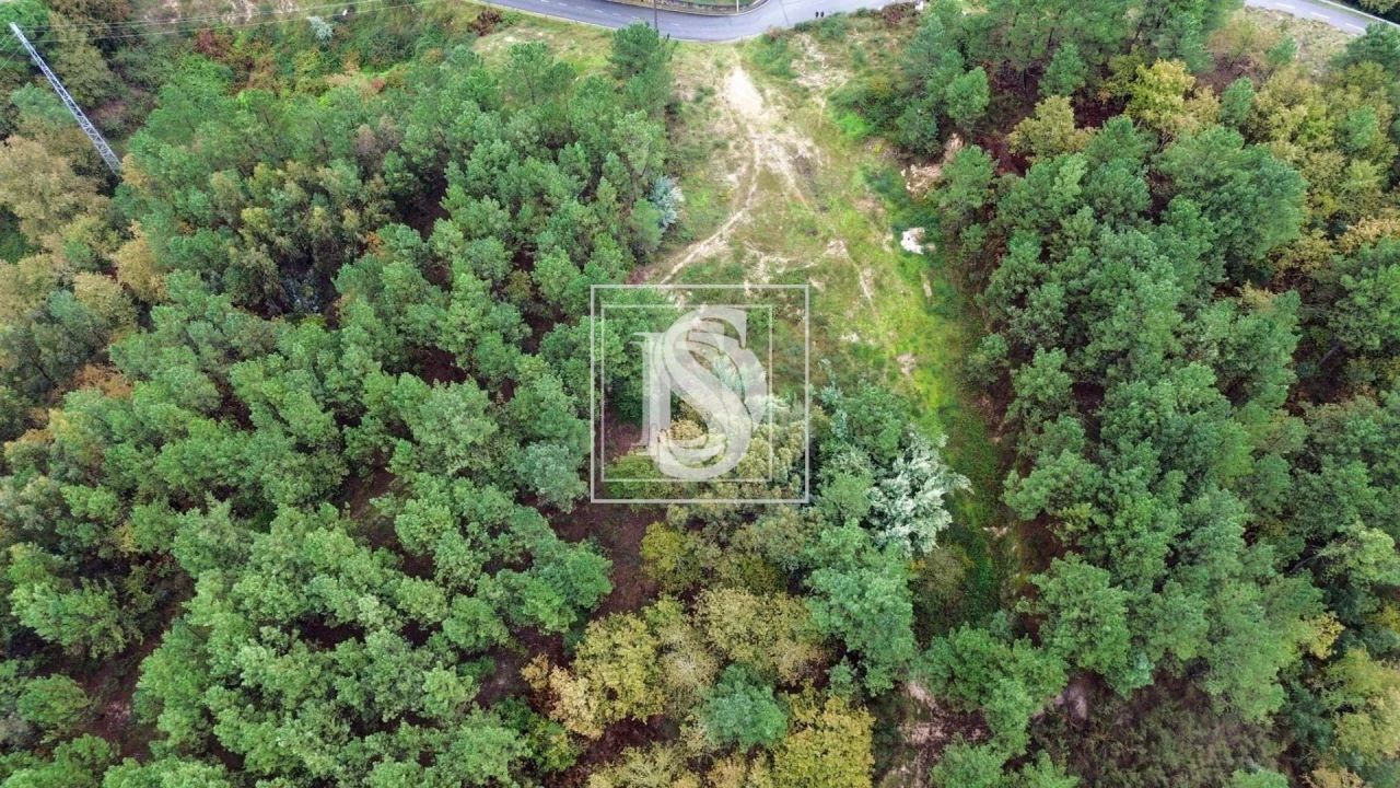 Terreno para Venda em Lufrei Foto 16