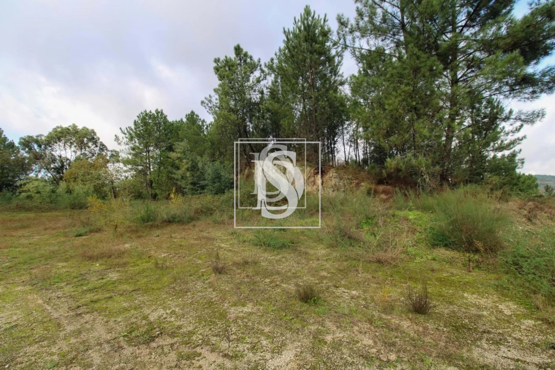 Terreno para Venda em Lufrei Foto 20