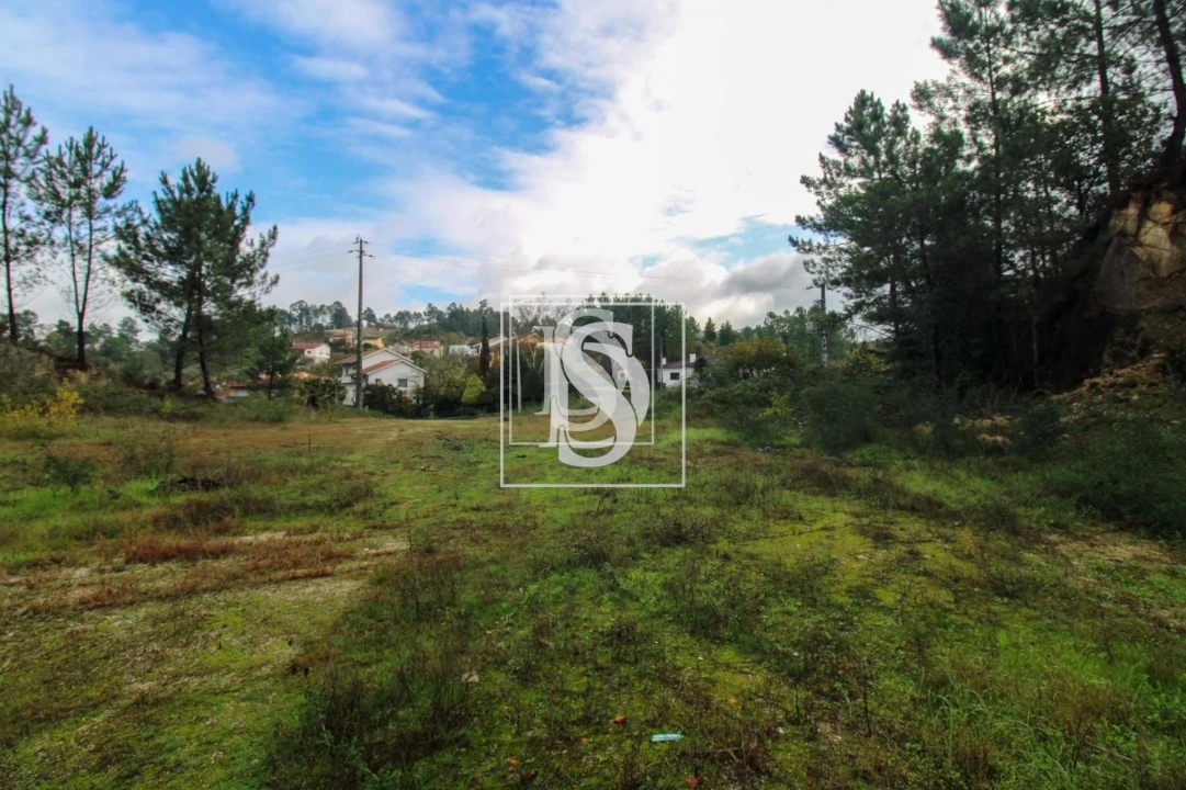 Terreno para Venda em Lufrei Foto 27