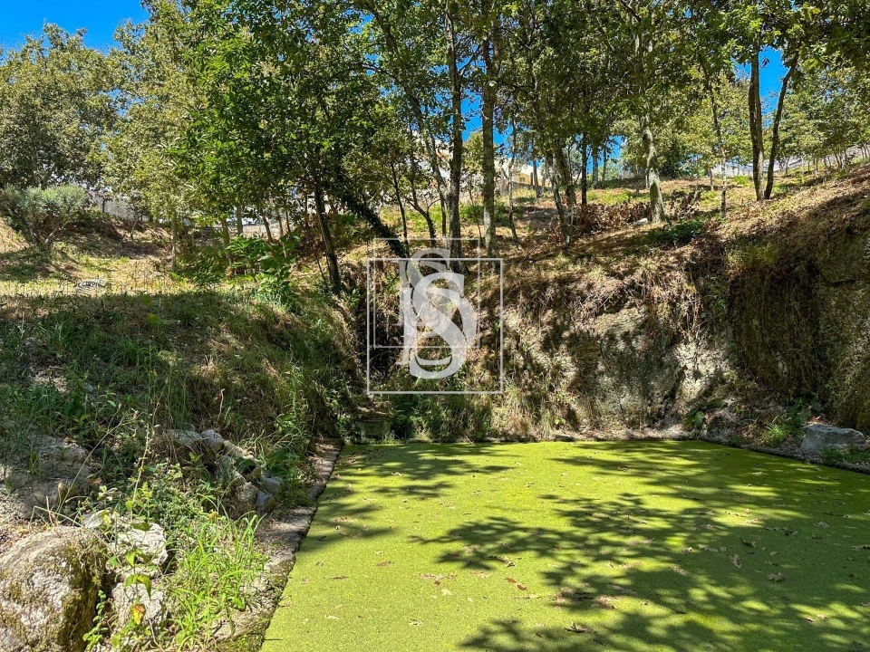 Terreno para Venda em Lufrei Foto 5