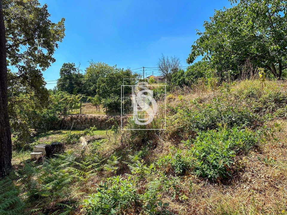 Terreno para Venda em Lufrei Foto 7