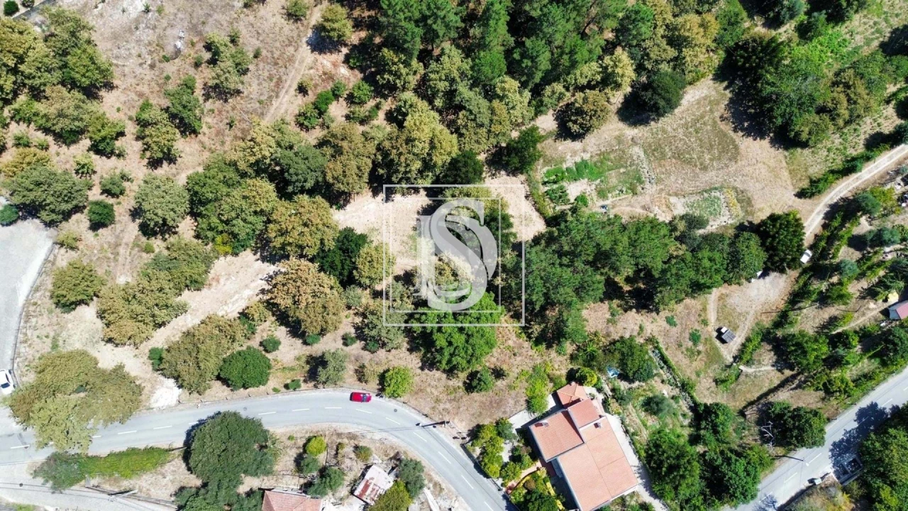 Terreno para Venda em Lufrei Foto 12