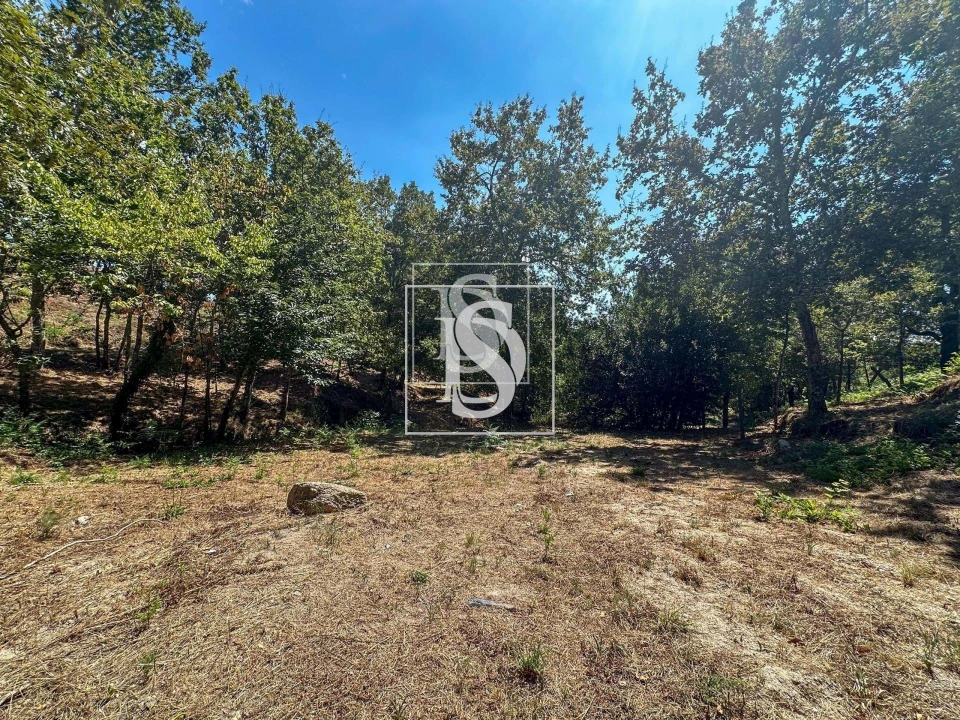 Terreno para Venda em Lufrei Foto 6