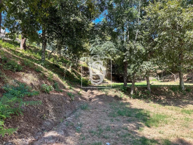 Terreno para Venda em Lufrei Foto 2