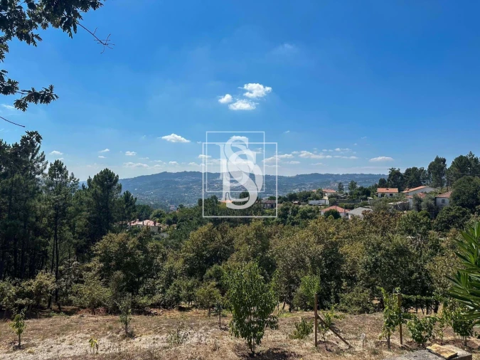 Terreno para Venda em Lufrei Foto 11