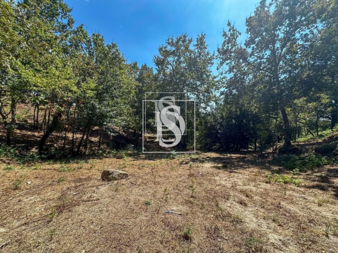 Terreno para Venda em Lufrei Foto 6