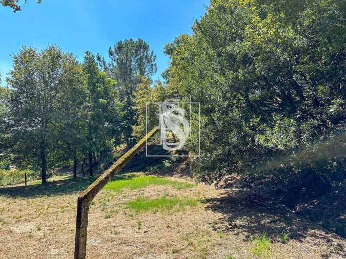 Terreno para Venda em Lufrei Foto 2