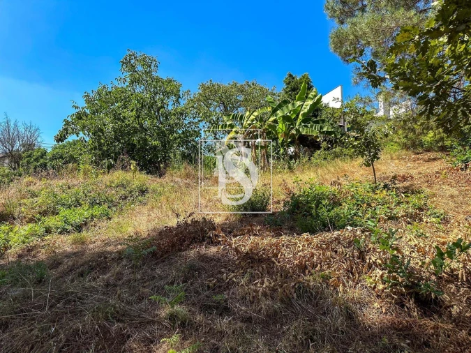 Terreno para Venda em Lufrei Foto 10