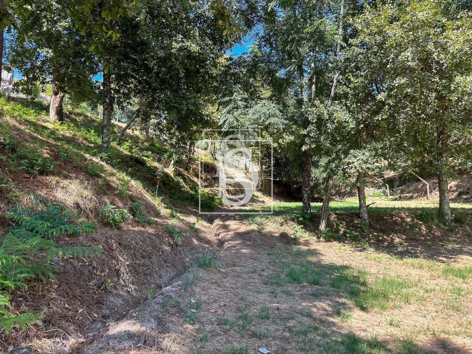 Terreno para Venda em Lufrei Foto 3