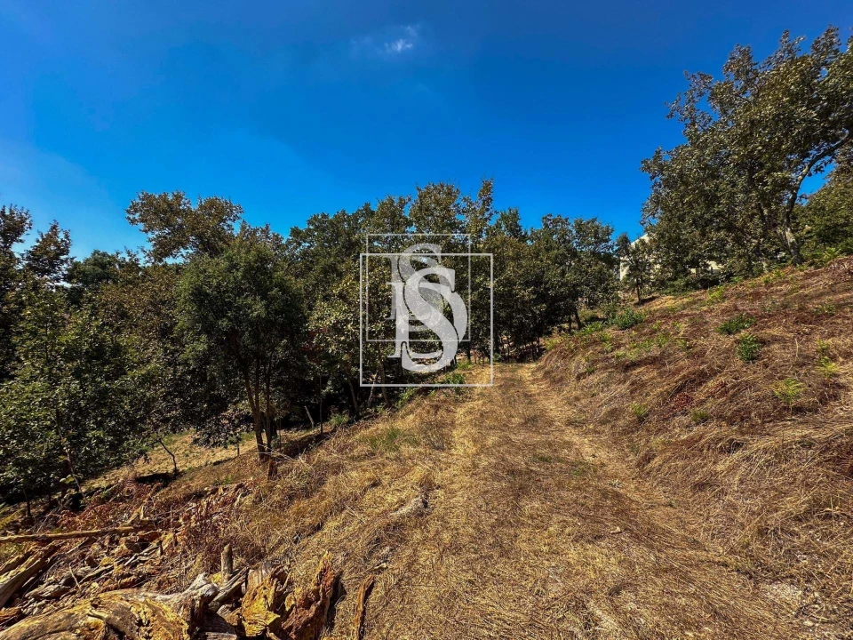 Terreno para Venda em Lufrei Foto 3