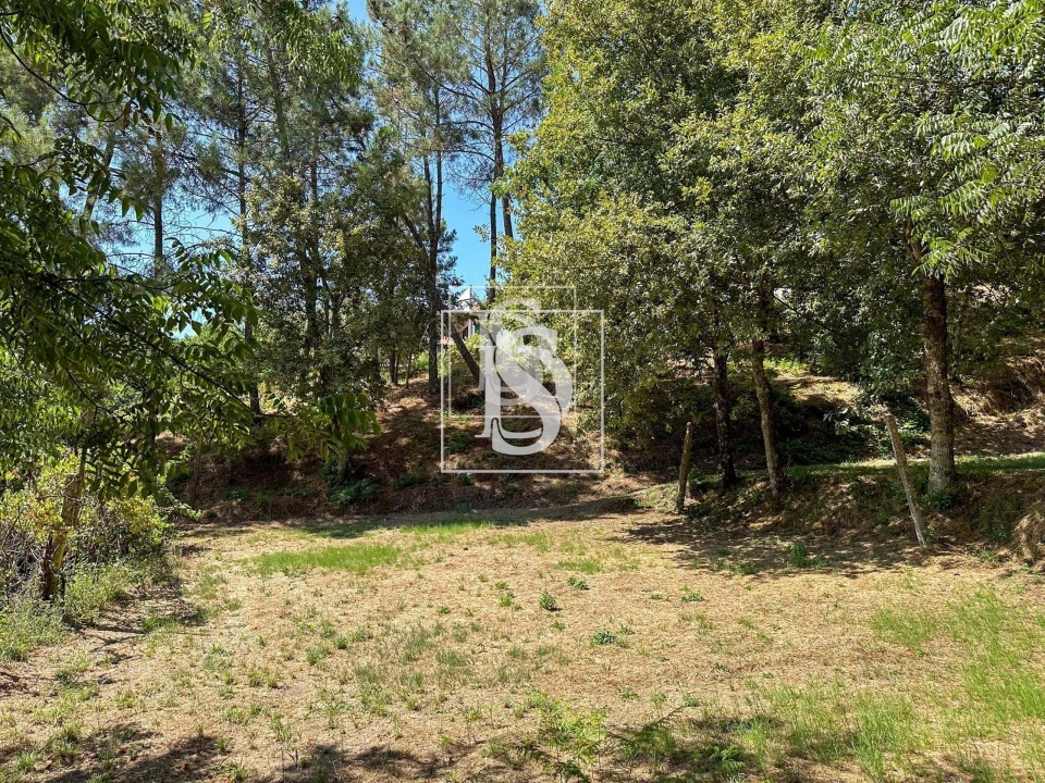 Terreno para Venda em Lufrei Foto 6