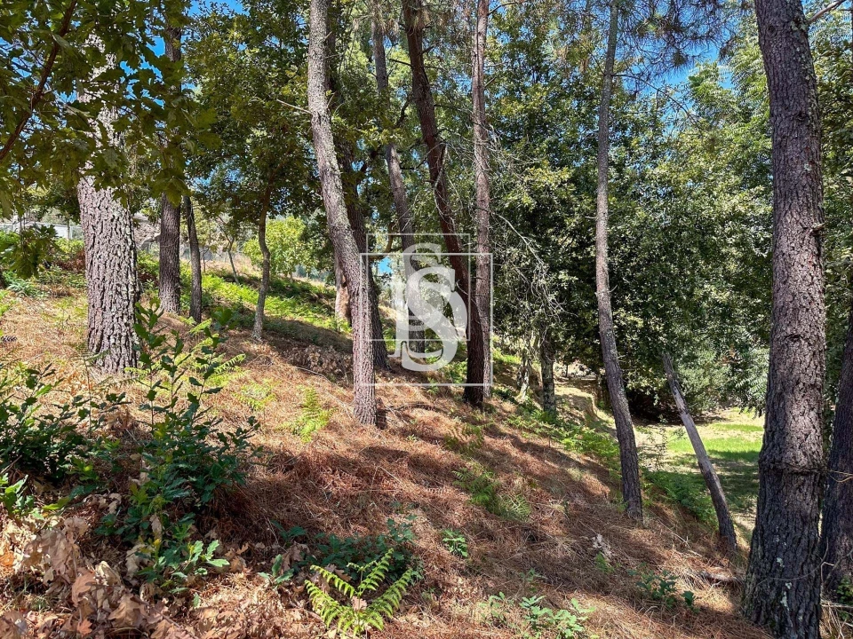 Terreno para Venda em Lufrei Foto 8