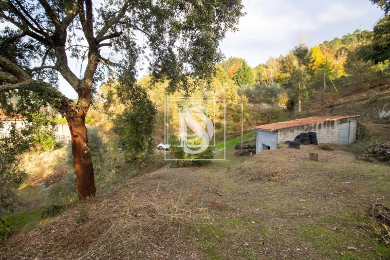 Moradia T3 para Venda em Vila Chã do Marão Foto 18