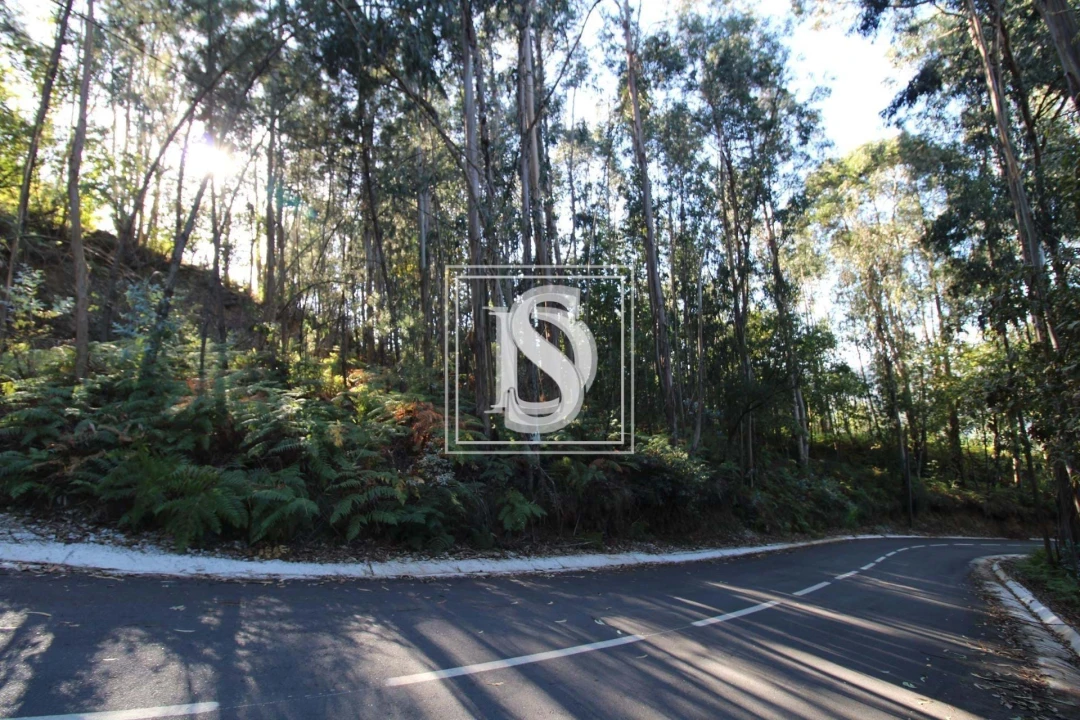 Terreno para Venda em Rebordelo Foto 3