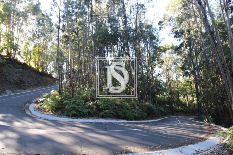 Terreno para Venda em Rebordelo Foto 2