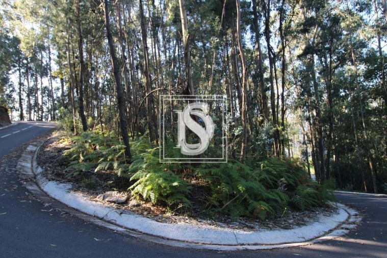 Terreno para Venda em Rebordelo Foto 5