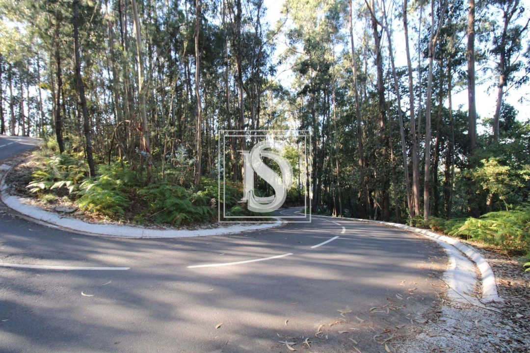 Terreno para Venda em Rebordelo Foto 1