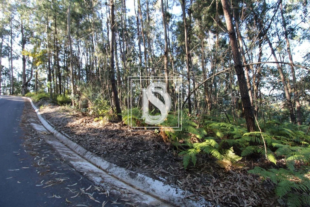 Terreno para Venda em Rebordelo Foto 4