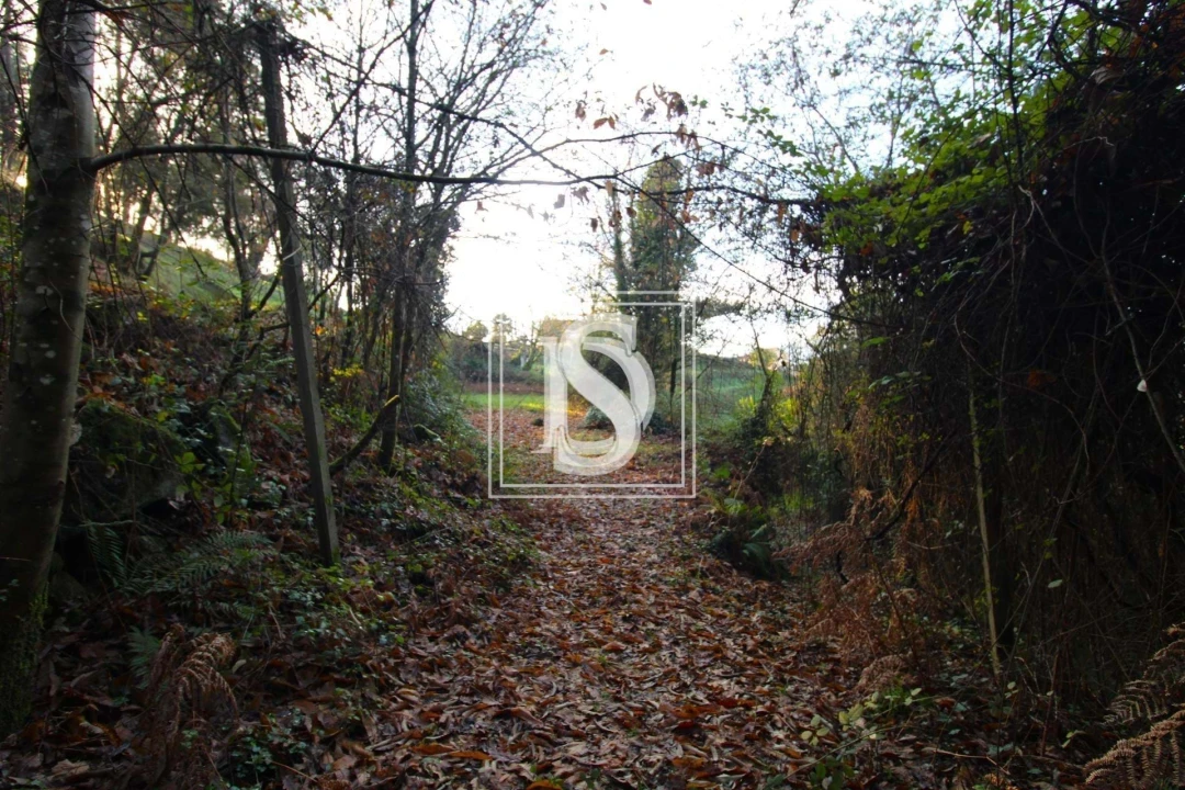 Terreno para Venda em Rebordelo Foto 1