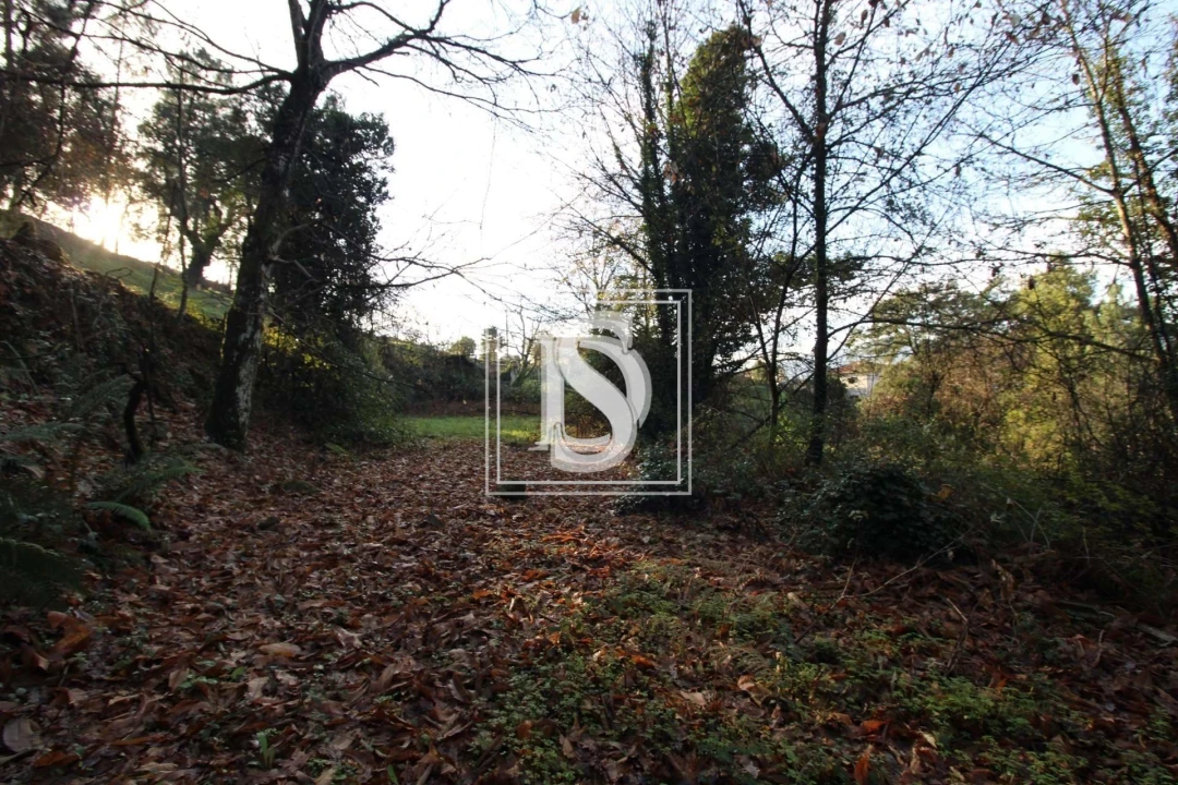 Terreno para Venda em Rebordelo Foto 3