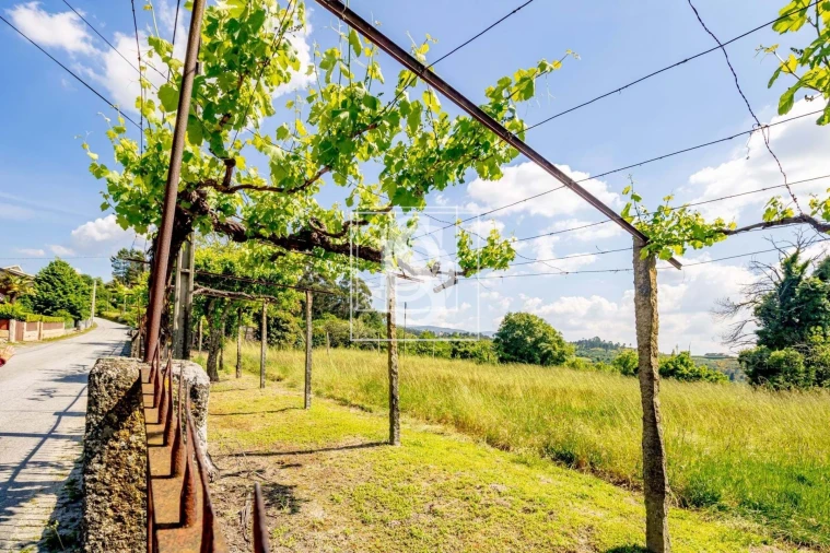 Moradia T3 para Venda em Lufrei Foto 12