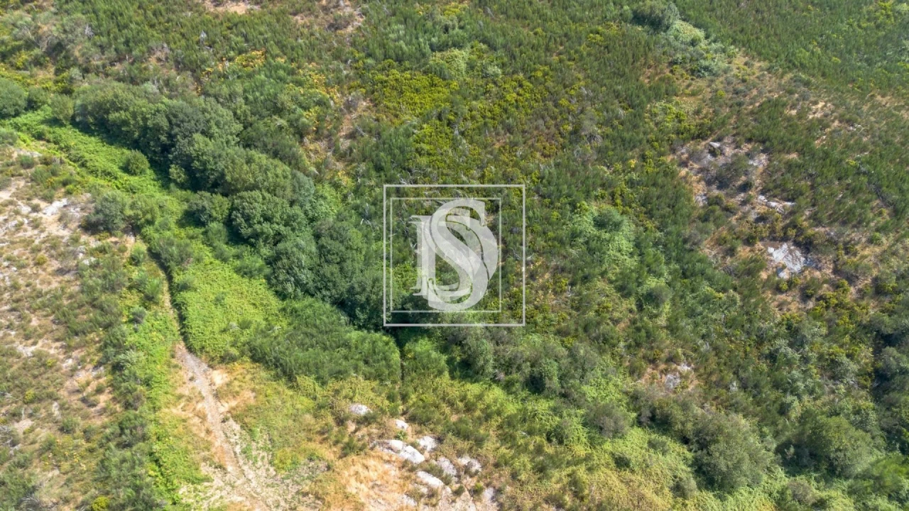 Terreno para Venda em Gouveia (São Simão) Foto 14