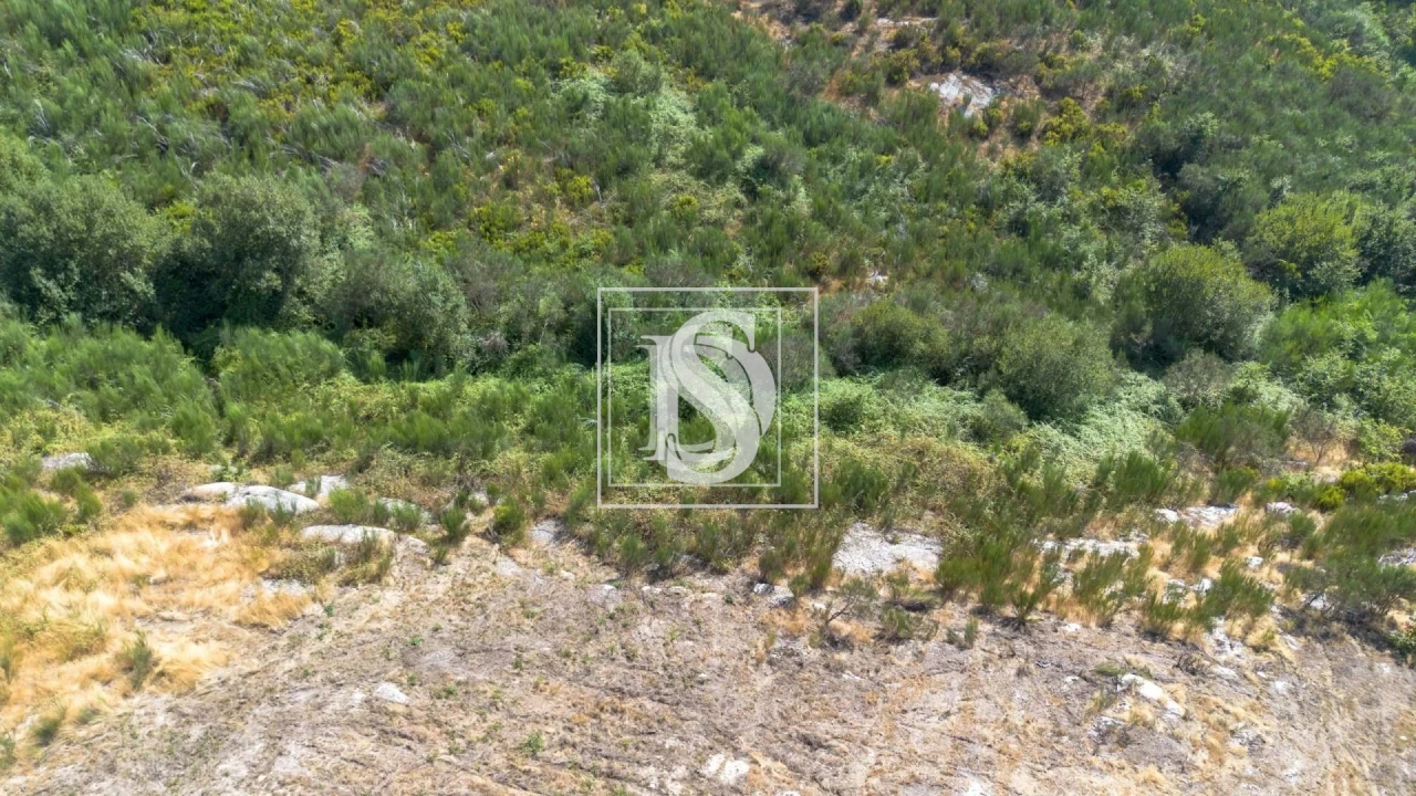 Terreno para Venda em Gouveia (São Simão) Foto 15