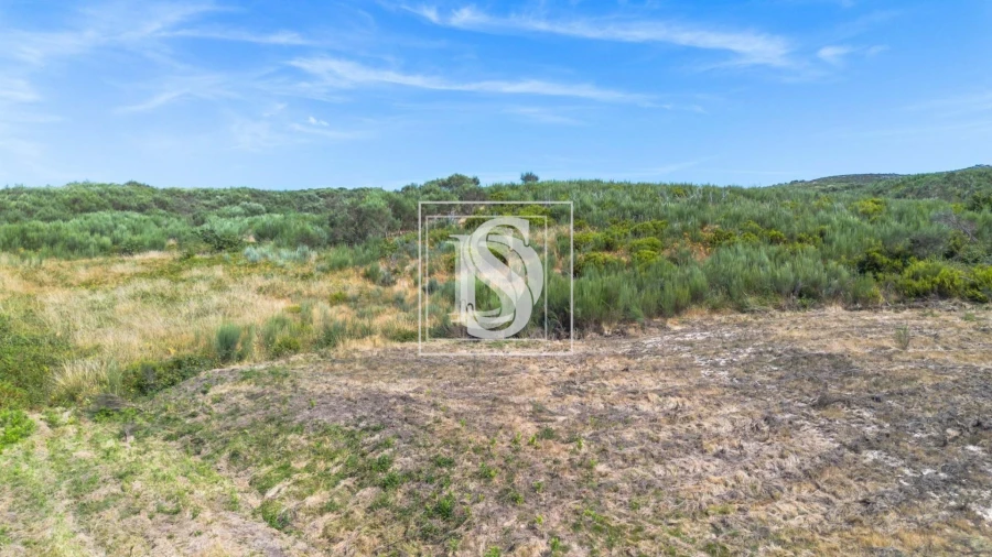 Terreno para Venda em Gouveia (São Simão) Foto 2