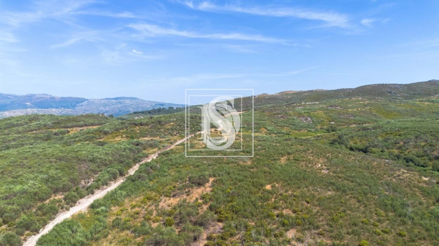 Terreno para Venda em Gouveia (São Simão) Foto 3