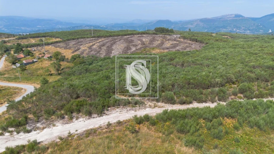 Terreno para Venda em Gouveia (São Simão) Foto 16